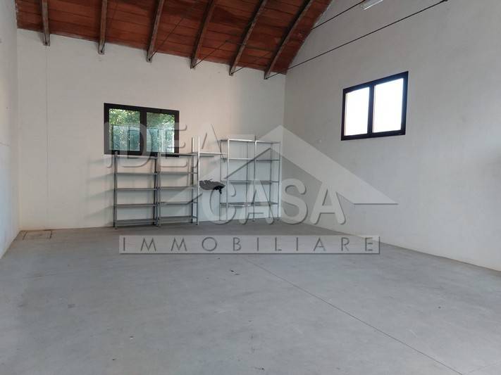 immagine annuncio 5 di 9
