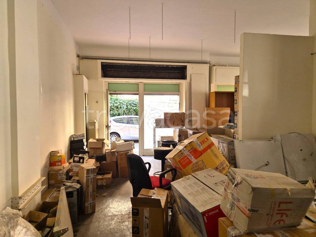 immagine annuncio 5 di 14
