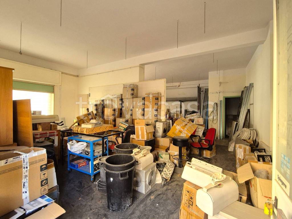 immagine annuncio 11 di 14