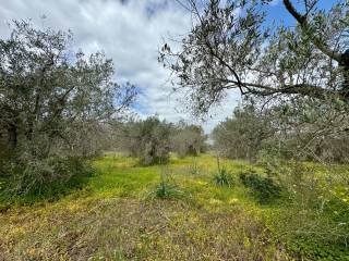 Terreno agricolo in vendita a villasimius 