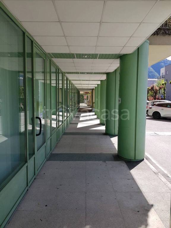 immagine annuncio 1 di 13