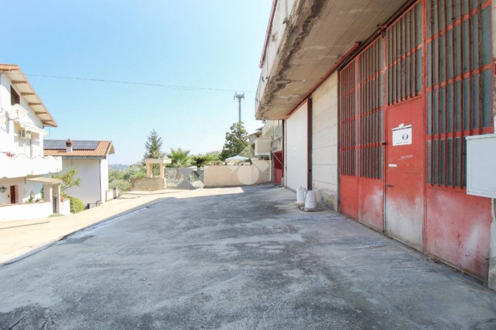 immagine annuncio 9 di 13