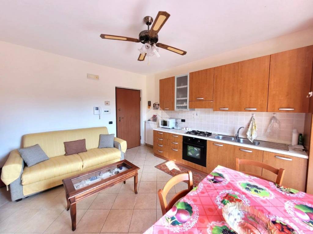 immagine annuncio 2 di 14