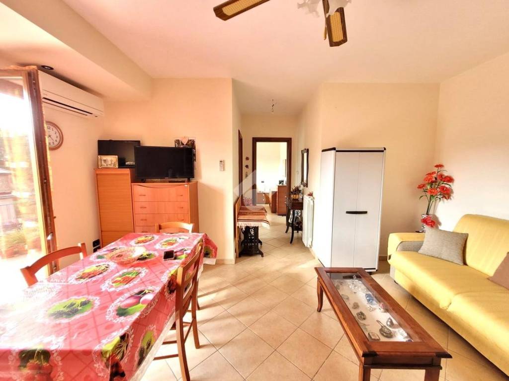 immagine annuncio 3 di 14