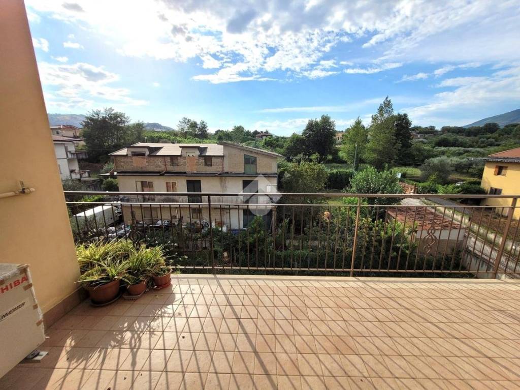 immagine annuncio 9 di 14