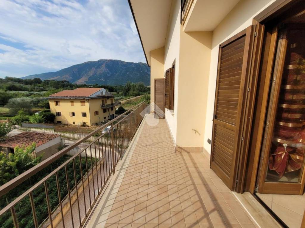 immagine annuncio 12 di 14