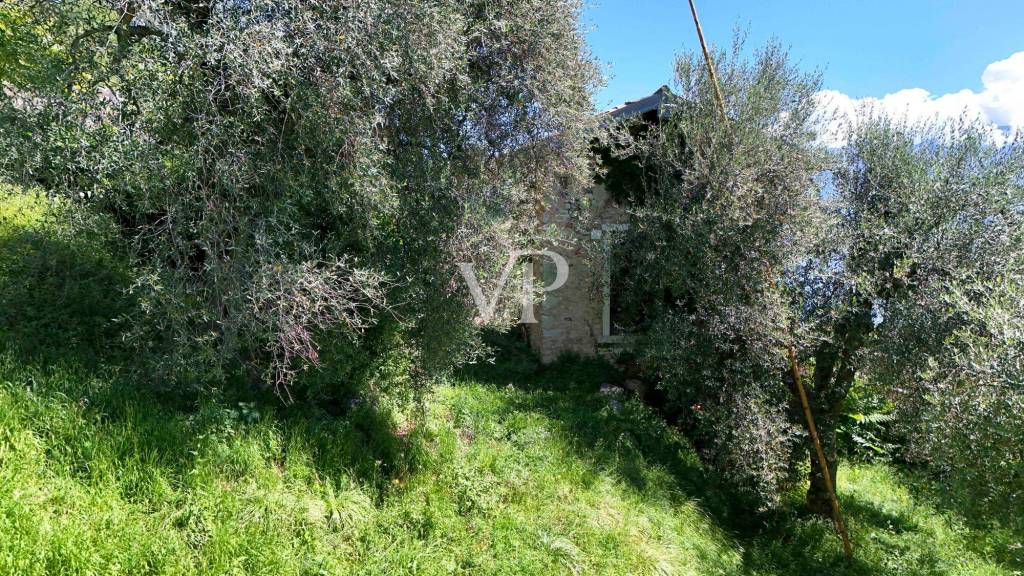 immagine annuncio 10 di 13