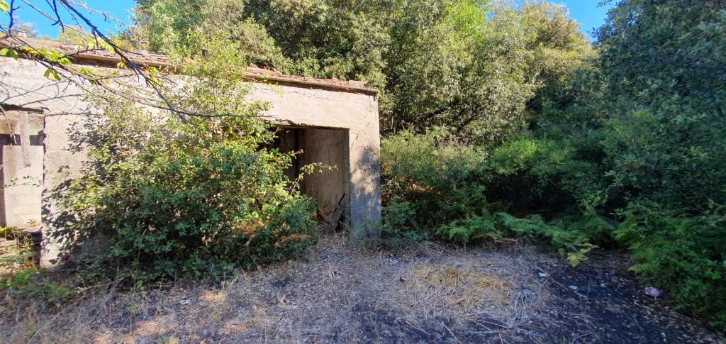 immagine annuncio 6 di 11