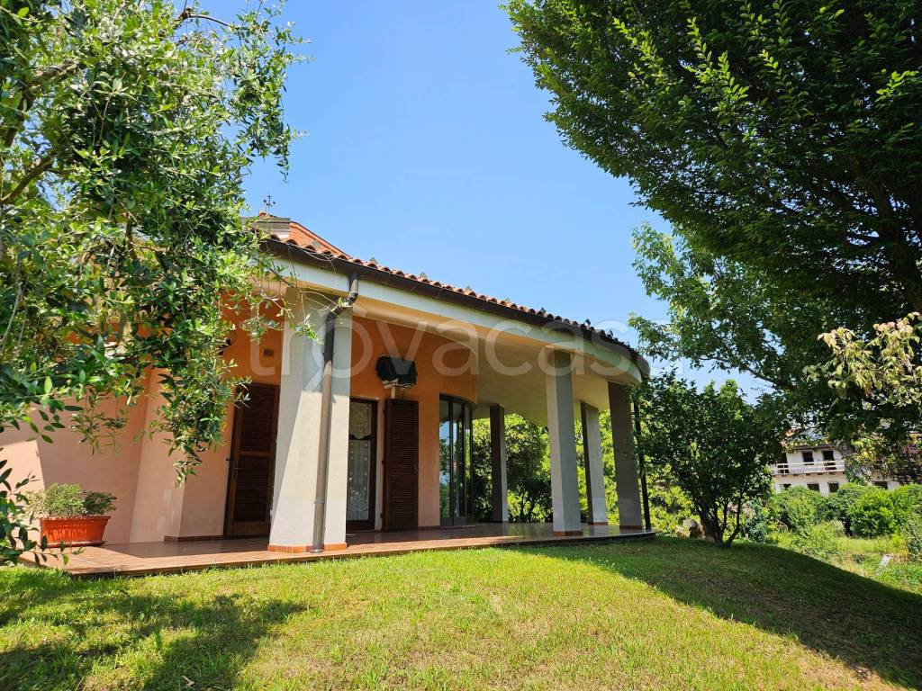 immagine annuncio 11 di 15