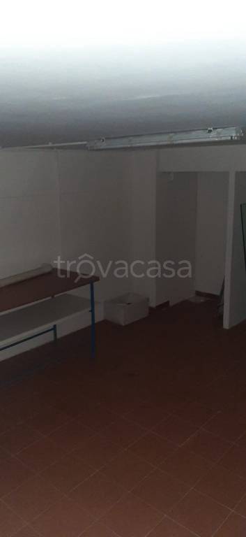 immagine annuncio 4 di 6