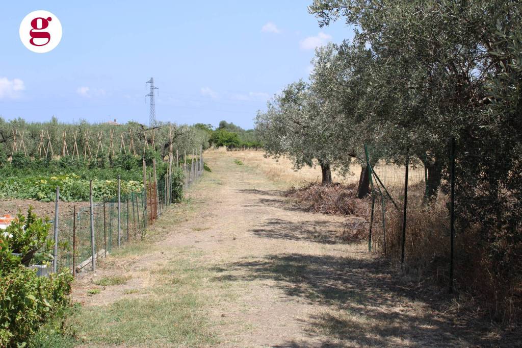 immagine annuncio 4 di 9