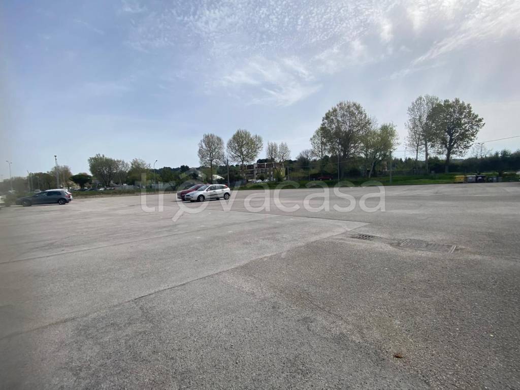 immagine annuncio 7 di 8