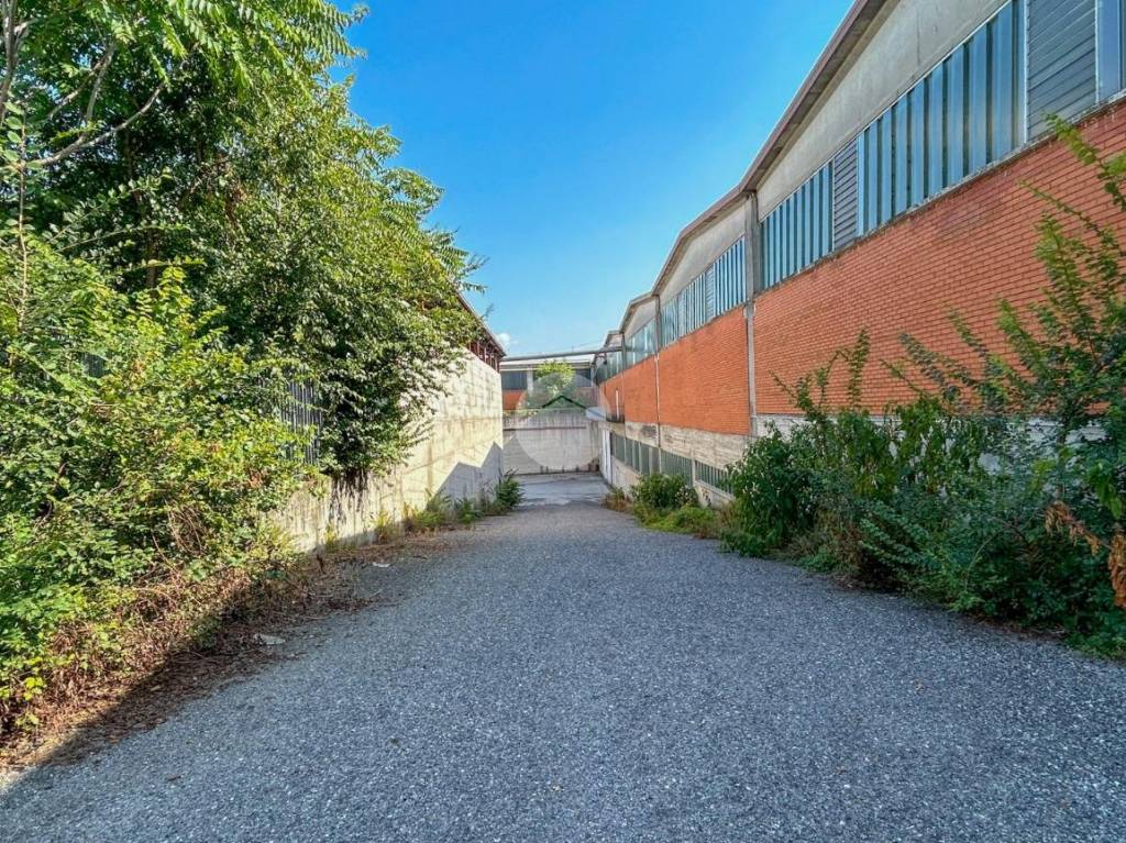 immagine annuncio 5 di 15