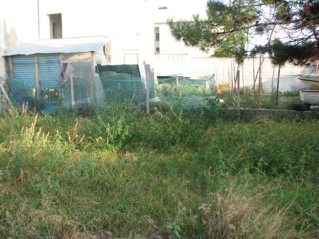immagine annuncio 9 di 13