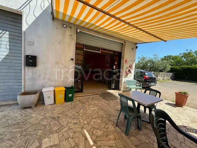 immagine annuncio 12 di 13