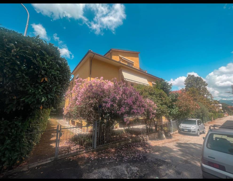 immagine annuncio 1 di 14
