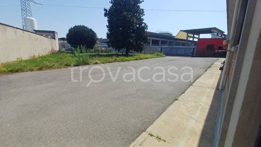 immagine annuncio 5 di 15