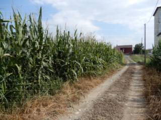 Terreno agricolo in vendita a crescentino via vercelli - sp1