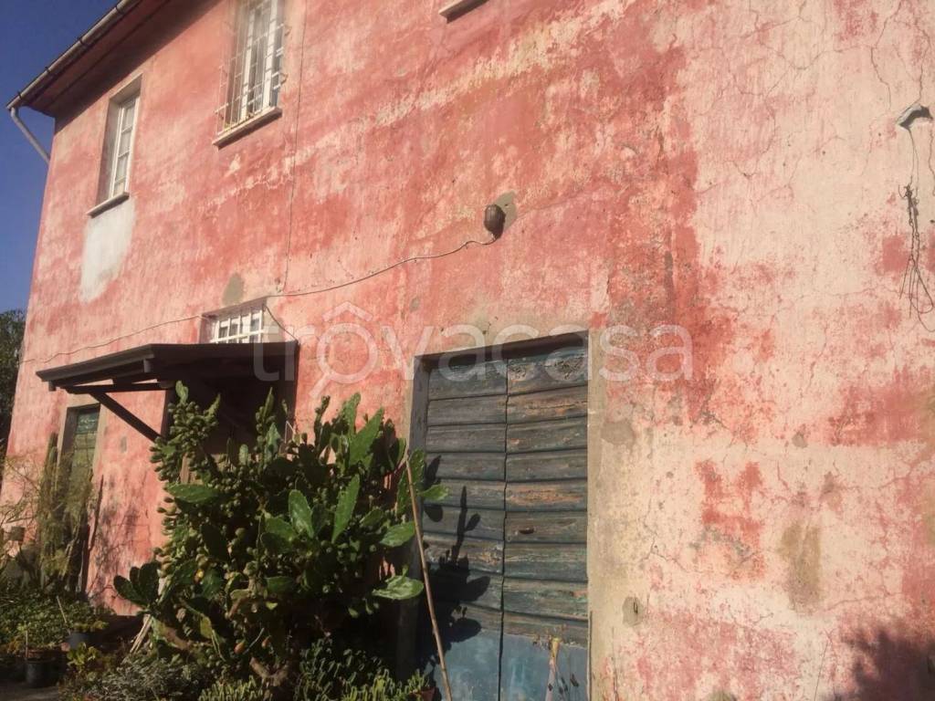 immagine annuncio 3 di 8