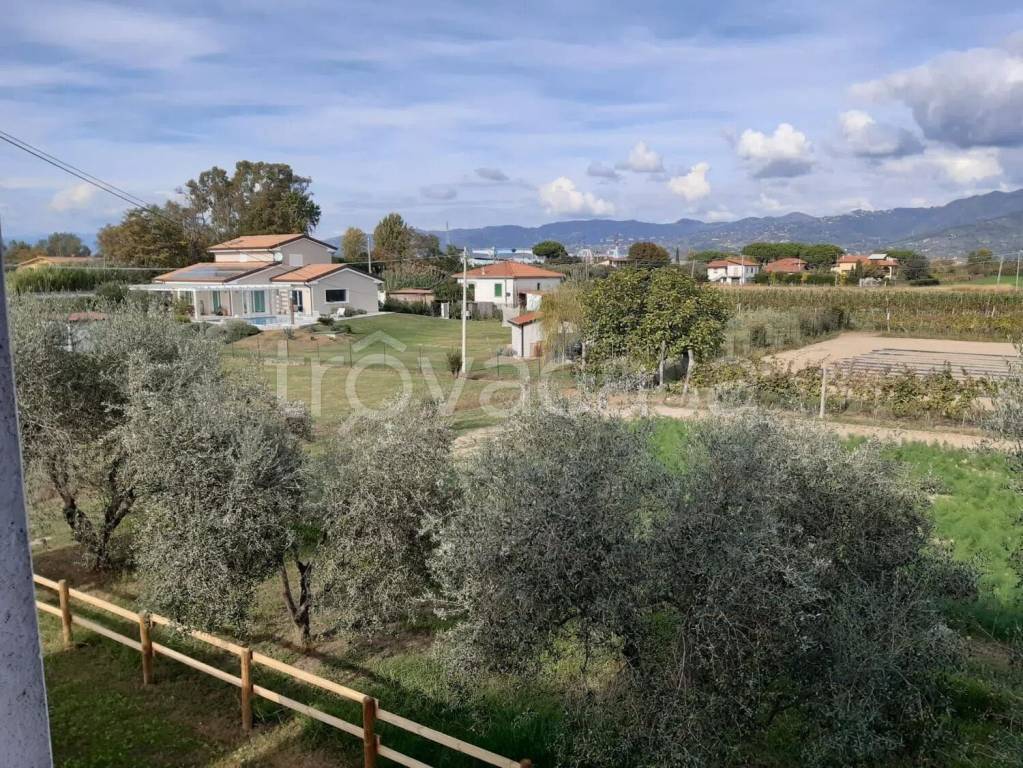 immagine annuncio 8 di 14