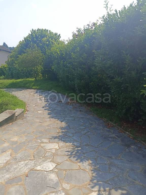 immagine annuncio 6 di 11