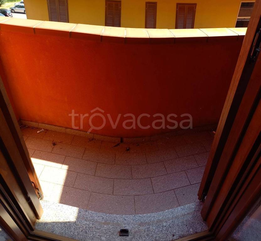 immagine annuncio 9 di 14