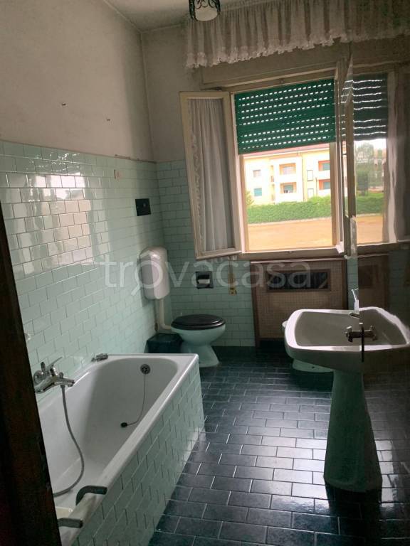 immagine annuncio 2 di 6