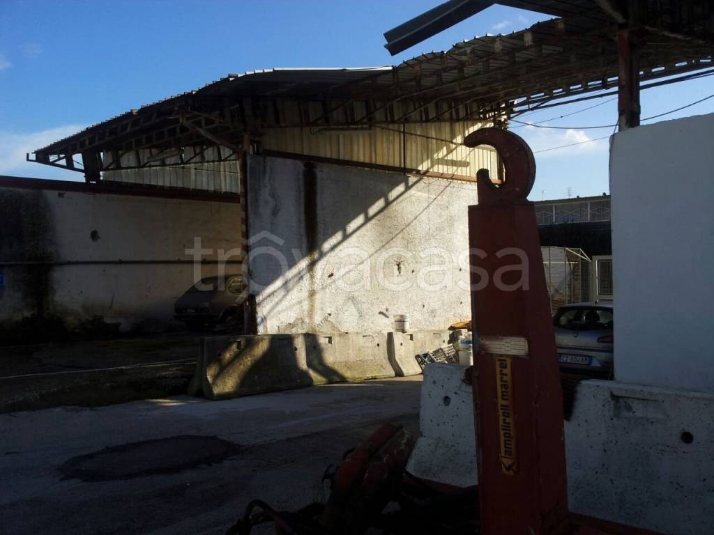 immagine annuncio 2 di 3