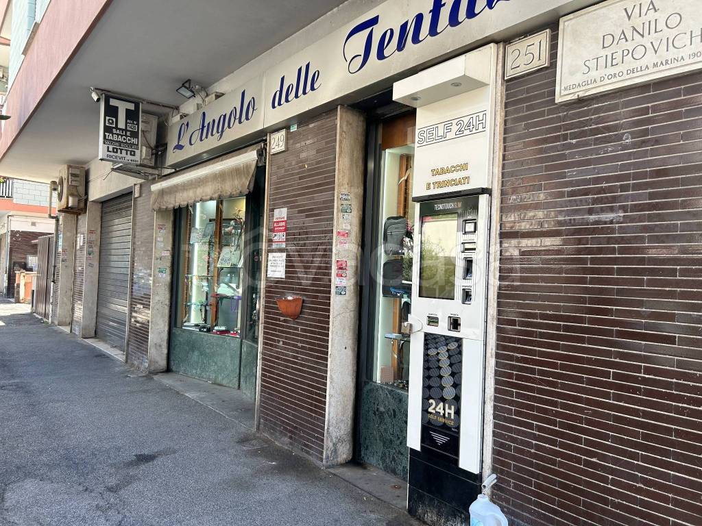 immagine annuncio 8 di 13