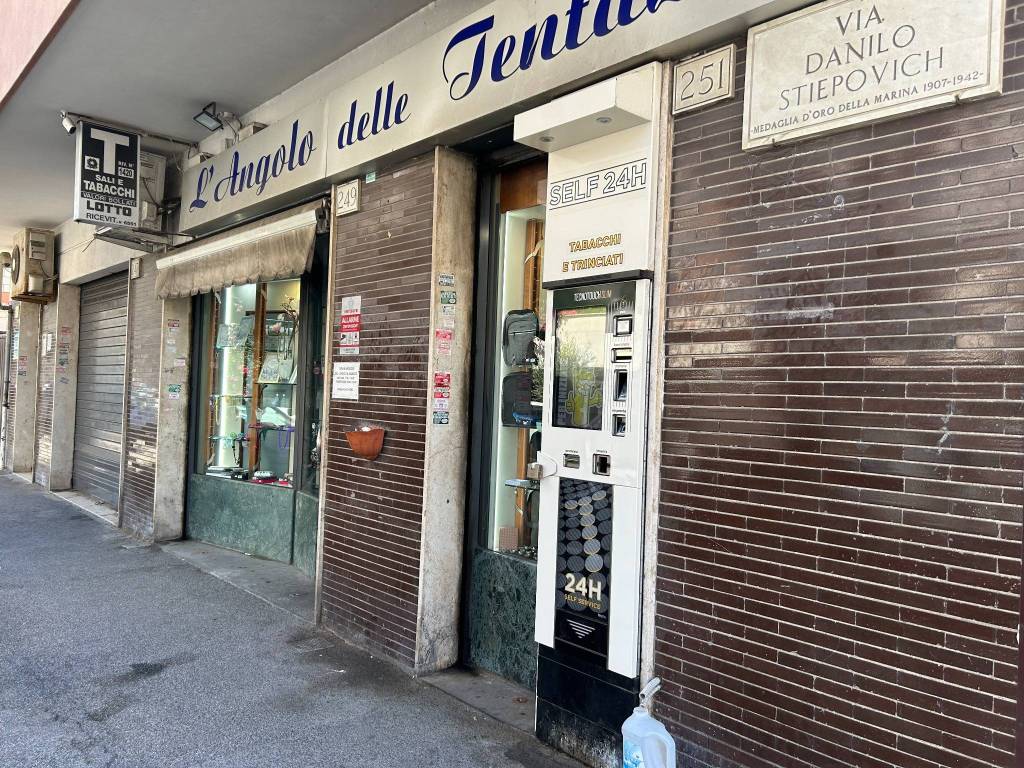 immagine annuncio 9 di 13