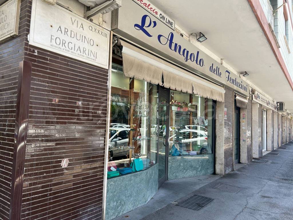 immagine annuncio 10 di 13