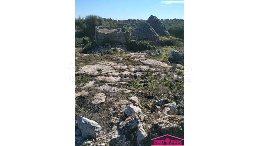 immagine annuncio 2 di 6