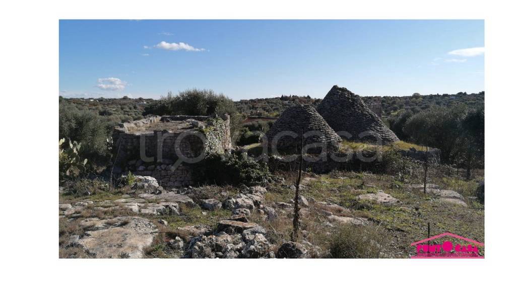 immagine annuncio 3 di 6