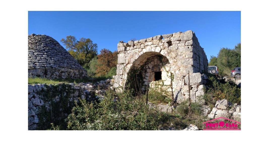 immagine annuncio 4 di 6