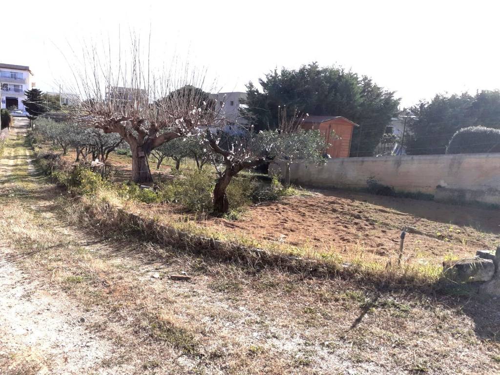 immagine annuncio 4 di 7