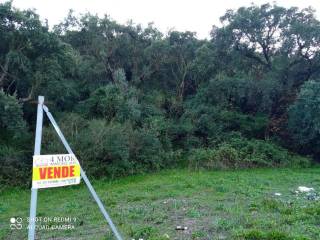 Terreno agricolo in vendita a iglesias sp84, 2