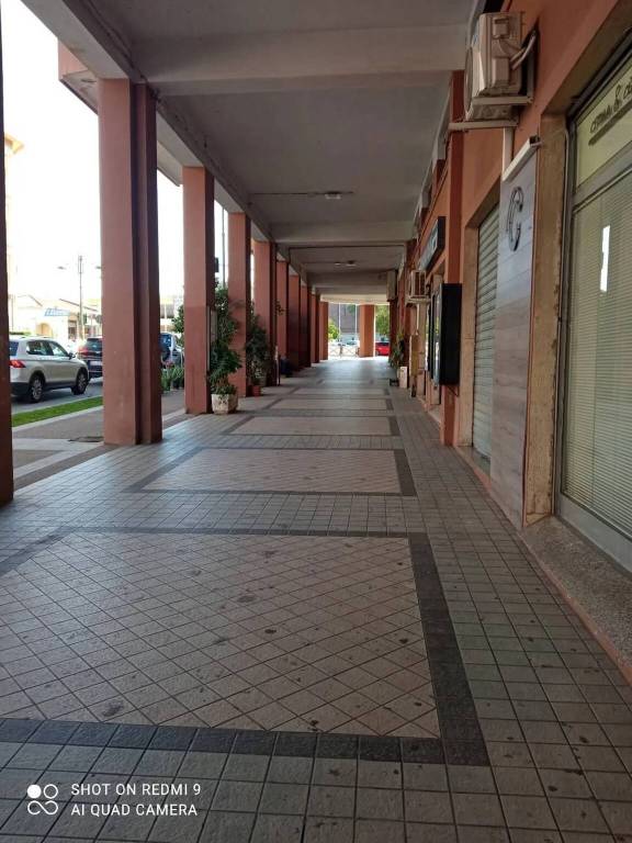immagine annuncio 6 di 11