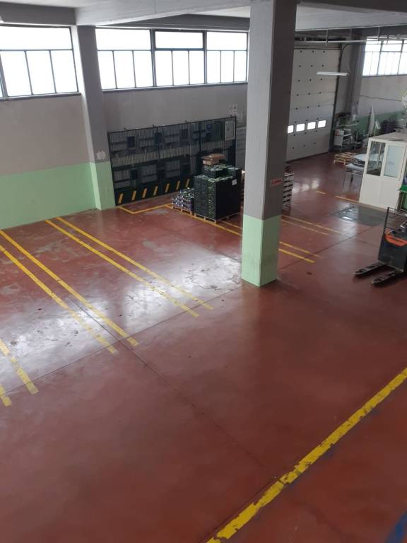 immagine annuncio 8 di 14