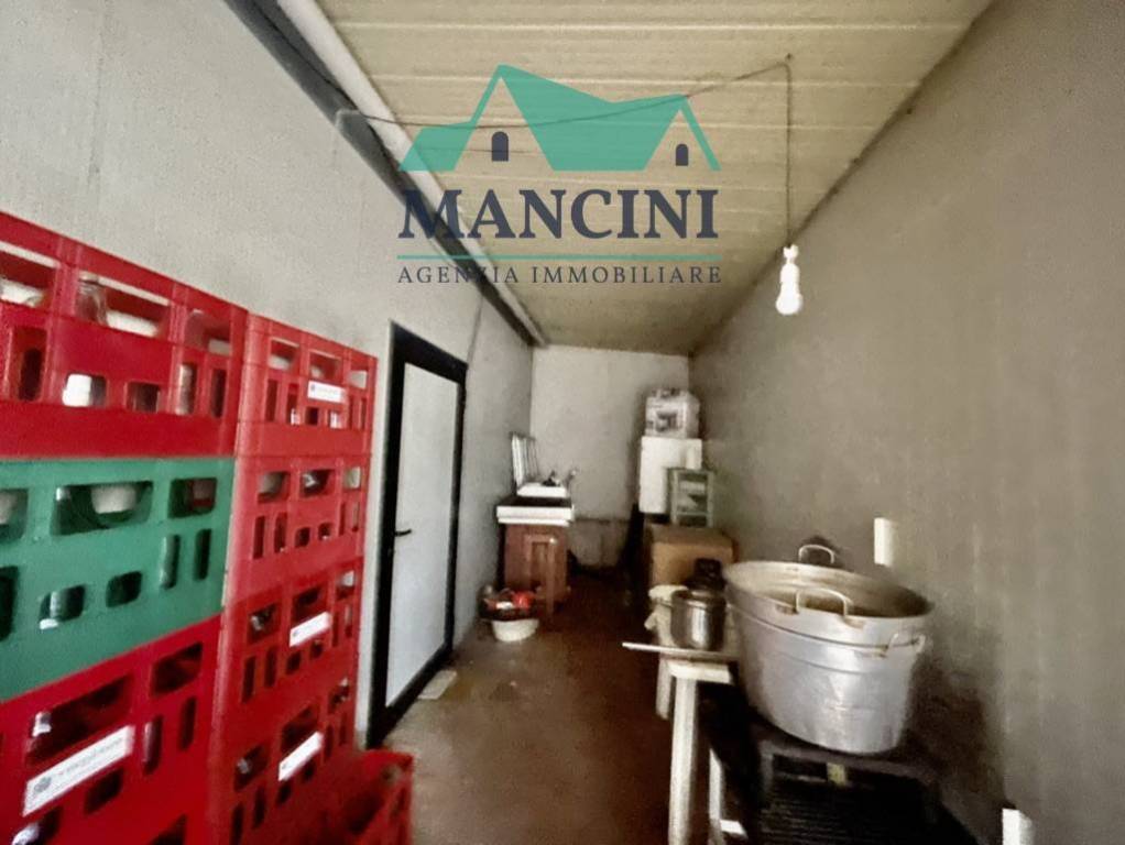 immagine annuncio 2 di 3