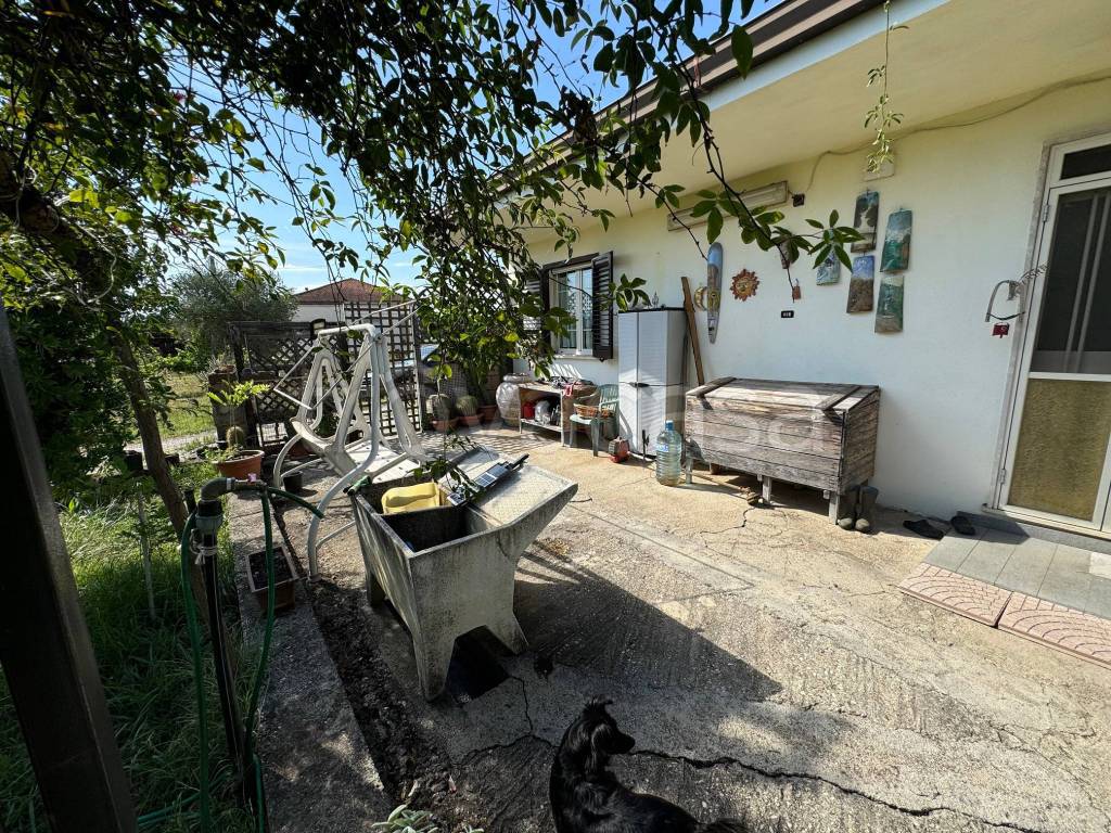 immagine annuncio 6 di 15
