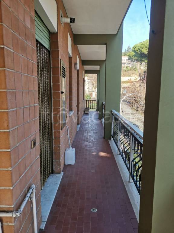 immagine annuncio 12 di 14