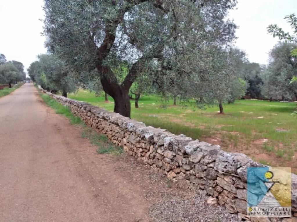 immagine annuncio 6 di 11