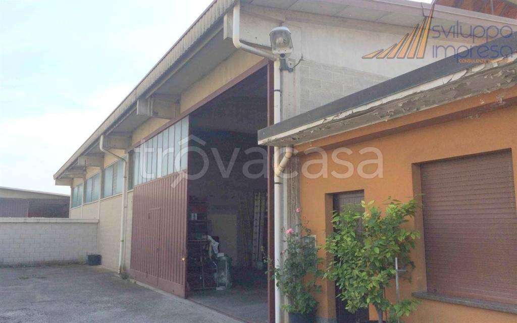 immagine annuncio 3 di 14