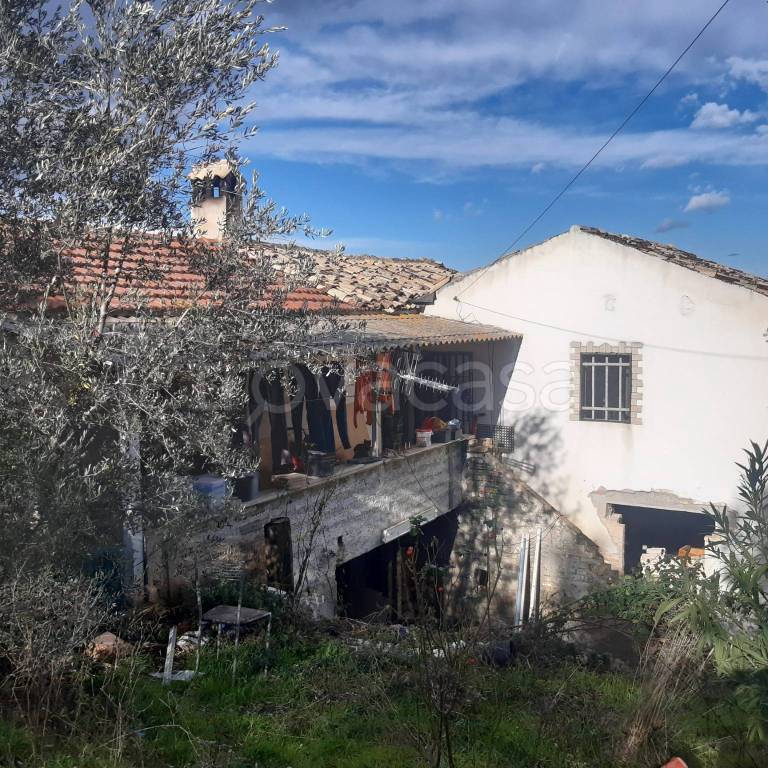 immagine annuncio 5 di 6