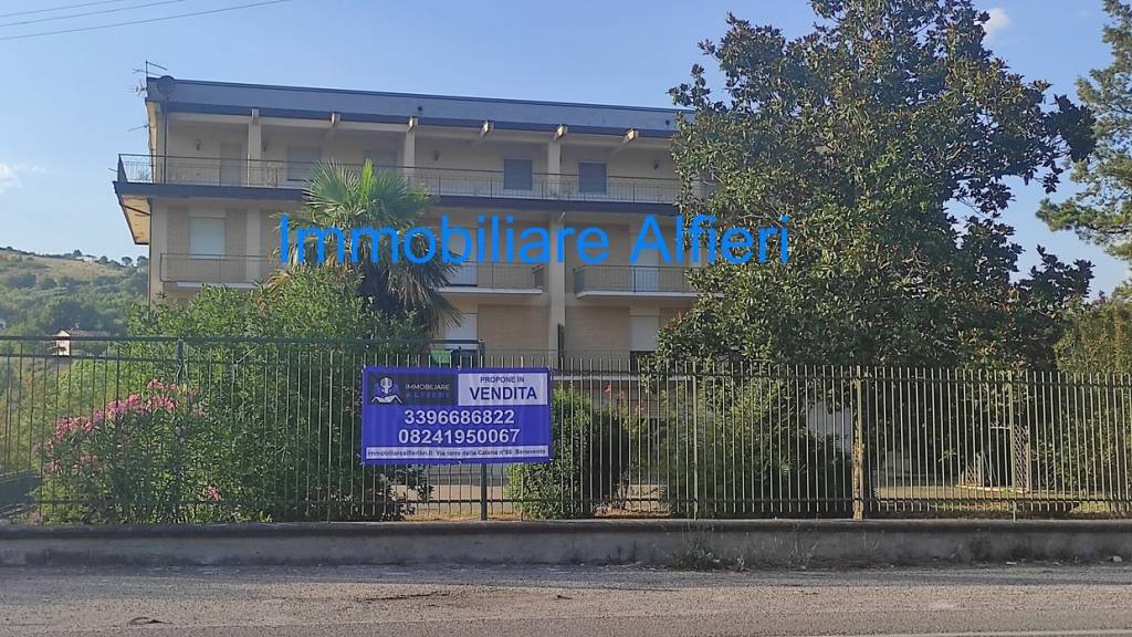 immagine annuncio 2 di 12