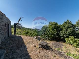 Terreno agricolo in vendita a biancavilla c.da contea, 1