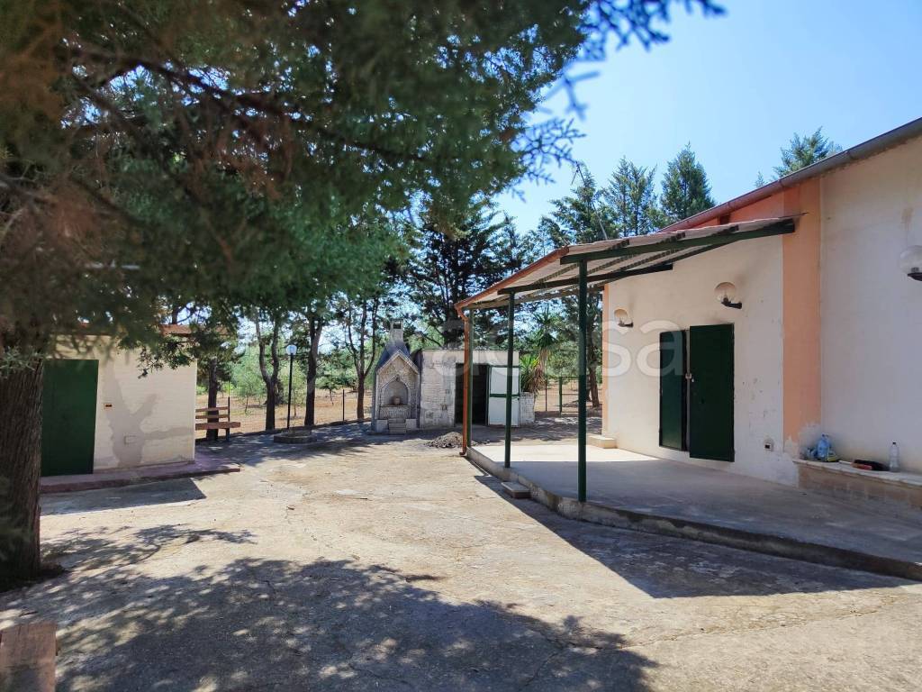immagine annuncio 5 di 13