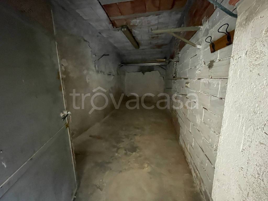 immagine annuncio 9 di 14