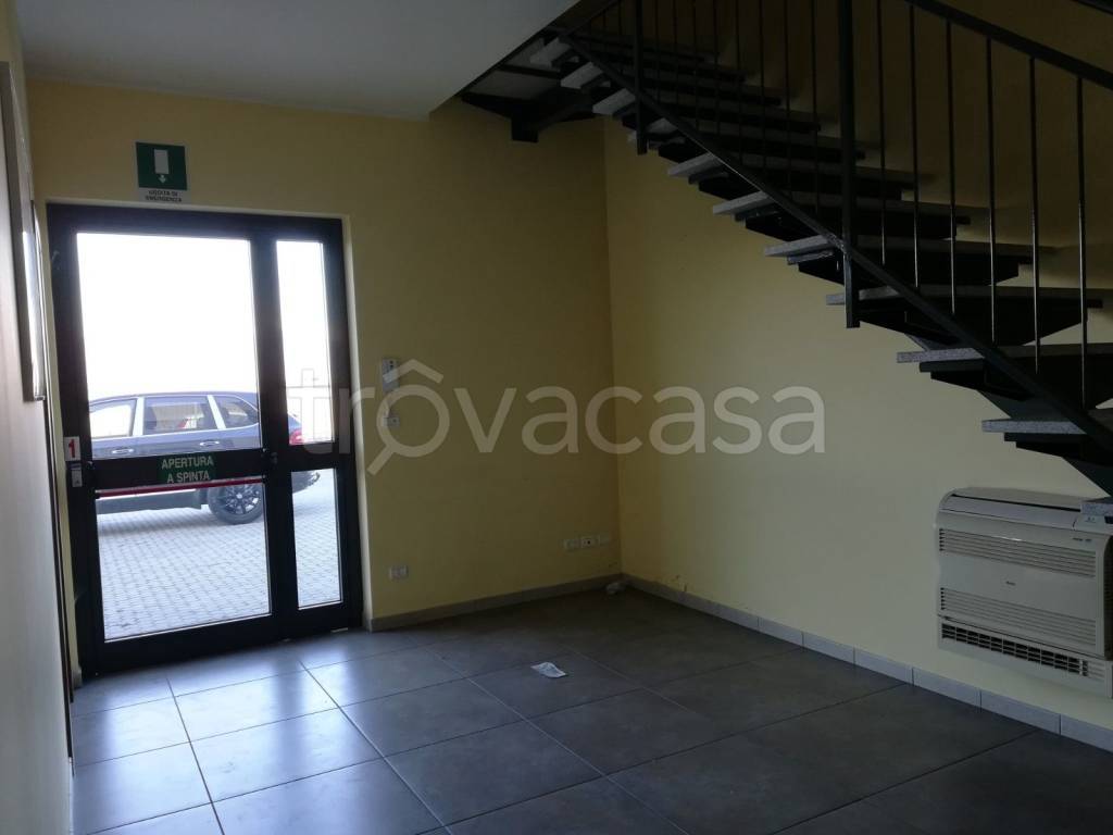 immagine annuncio 9 di 14