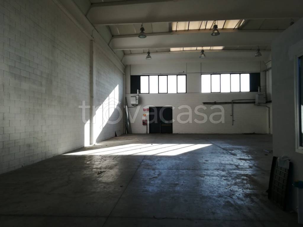 immagine annuncio 4 di 14